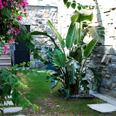 Luxury Villasea View And Private Pool Villa Bodrum